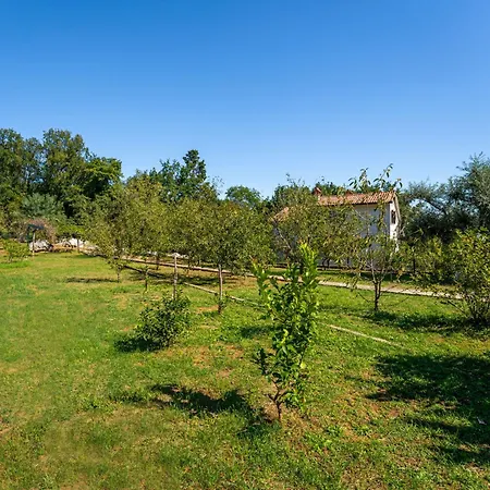 Franjo By Interhome Apartament